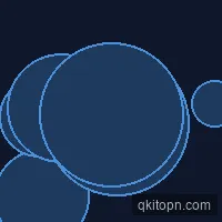 亚冠追随者